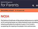 2019  Understanding NCEA website