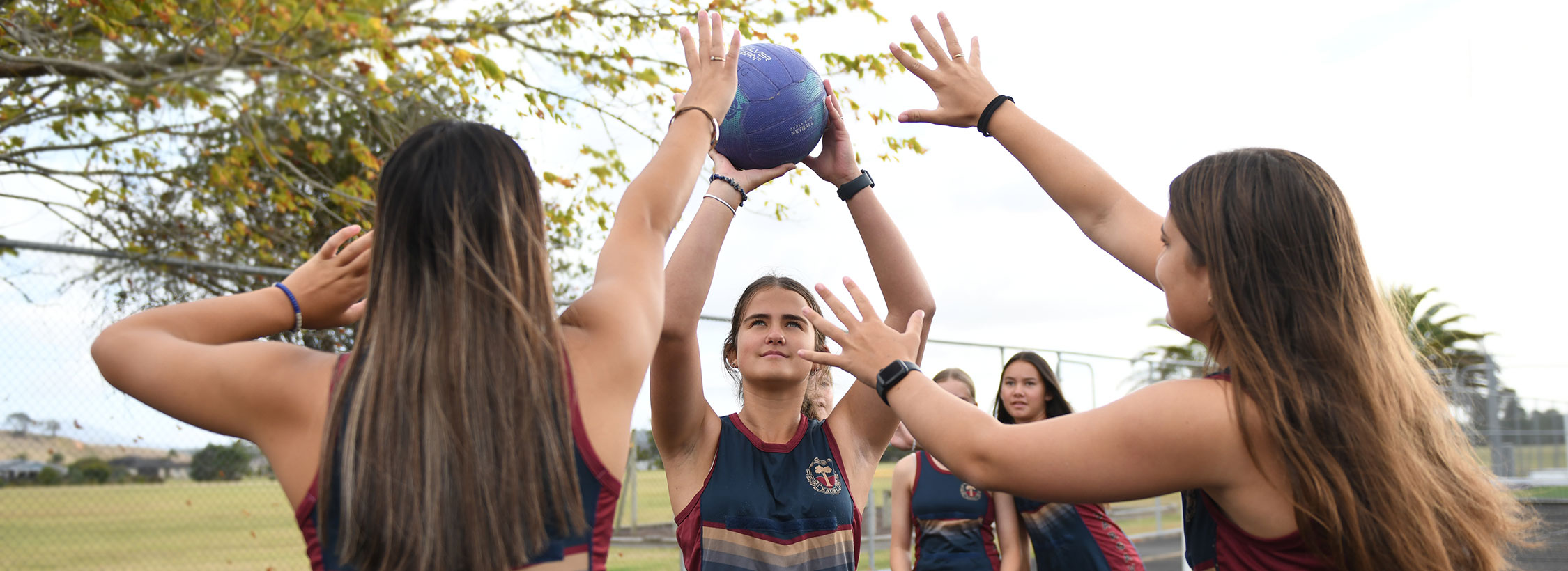 Dargaville High School Term Planner 2024